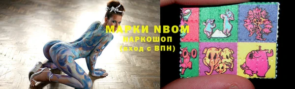 стаф Новодвинск