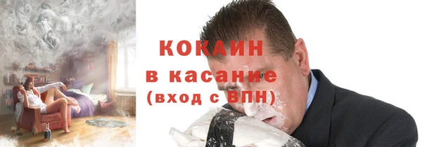 стаф Новодвинск