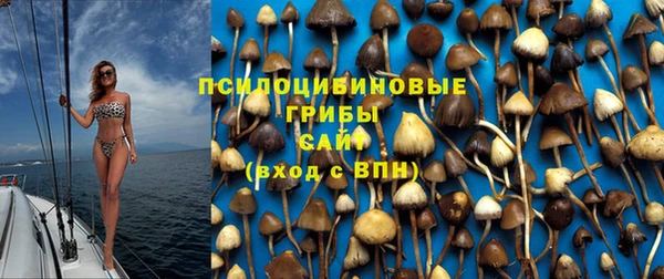 первитин Новозыбков