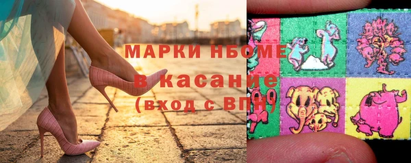 стаф Новодвинск