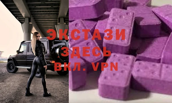 стаф Новодвинск