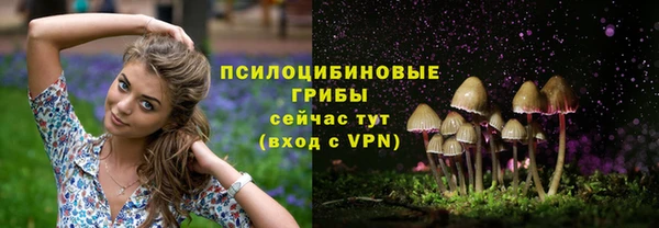 первитин Новозыбков