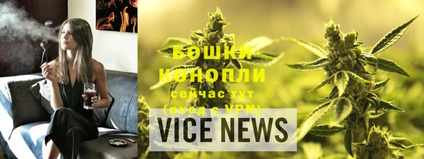 стаф Новодвинск