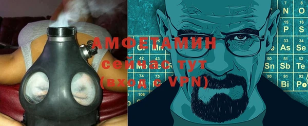 стаф Новодвинск