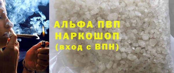 стаф Новодвинск