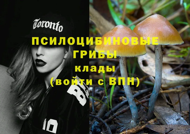 Псилоцибиновые грибы Magic Shrooms  цены   Райчихинск 