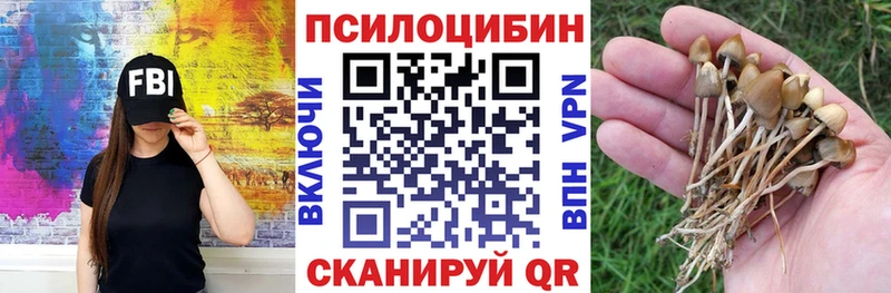 дарк нет Telegram  Райчихинск  Псилоцибиновые грибы мухоморы  где купить наркотик 